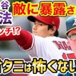 大谷翔平のまさかの攻略法が、全世界に暴露される…世界から納得の声「正論。オオタニを恐れる必要はないんだ！」【海外の反応】