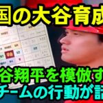 大谷翔平を模倣し始めた韓国チームの行動が話題！【韓国の反応】