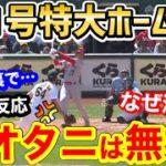 大谷翔平、今季第一号の特大ホームランに、世界が衝撃「オオタニはなんて失礼な奴」【海外の反応】