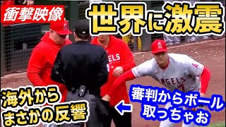 大谷翔平、退場の危機だった！審判からボールを”盗む”…→世界から感動の声「オレのハートも盗まれた」【海外の反応】