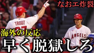 トラウト大谷翔平が大活躍も敗戦に海外ファンがまさかの一言【海外の反応】