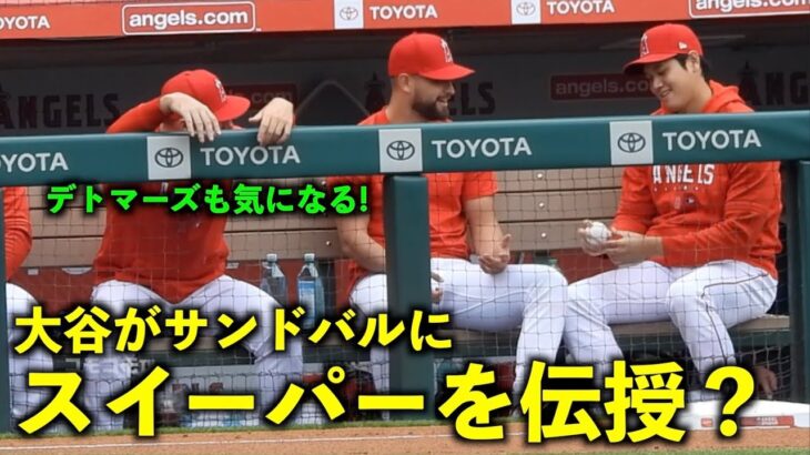 サンドバルにカーブかスイーパー？の握りを教える大谷翔平【現地映像】エンゼルスvsナショナルズ第3戦4/13