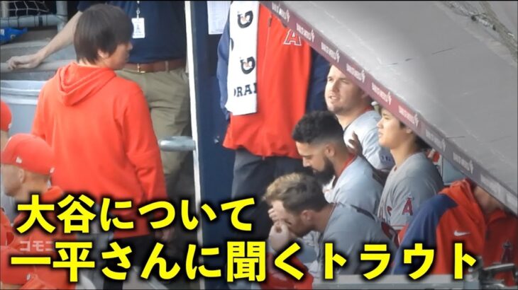 これは気になる！一平さんに大谷翔平の事について何か質問するトラウト【現地映像】エンゼルスvsヤンキース第3戦4/21