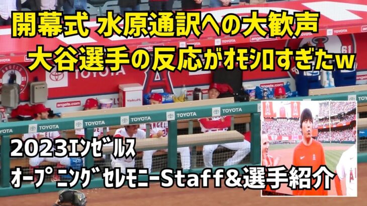 今年も大歓声が上がる水原通訳 大谷選手の反応がおもしろすぎるw 2023 エンゼルス開幕式 スタッフ&選手紹介Full Shohei Ohtani エンゼルス Angels  大谷翔平 現地映像