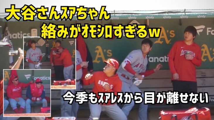 今季もスアレスから目が離せない 大谷さんスアちゃんの絡みがオモシロすぎるw Angels エンゼルス Shohei Ohtani 大谷翔平 現地映像