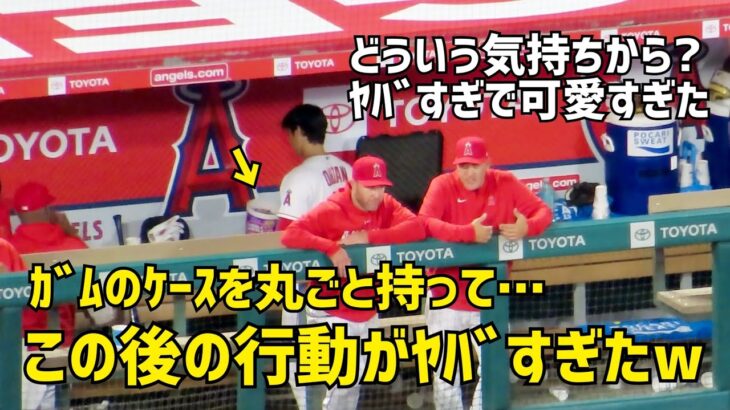 どういう気持ちから？w  大谷さんの行動がヤバすぎ で可愛すぎた Shohei Ohtani エンゼルス Angels  大谷翔平 現地映像