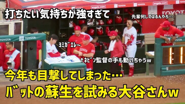 打ちたい気持ちが強すぎて 大谷選手がした行動が…w  今年も目撃してしまった Shohei Ohtani エンゼルス Angels  大谷翔平 現地映像