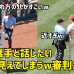 チェックに来る審判 大谷選手と話したい様に見えてしまうw  Shohei Ohtani エンゼルス Angels  大谷翔平 現地映像