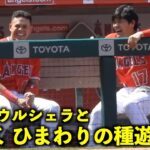 めっちゃ楽しそうw 大谷翔平がウルシェラとひまわりの種遊び【現地映像】エンゼルスvsロイヤルズ第３戦4/24