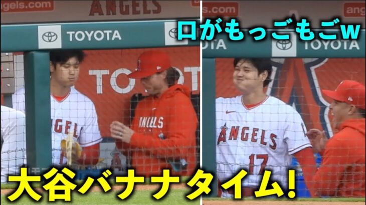 今日も試合前にバナナタイム！口をモゴモゴしながら試合前の挨拶をする大谷翔平w 【現地映像】エンゼルスvsブルージェイズ第２戦4/9