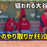 狙われる大谷さんw ダグアウトでのやりとりがオモシロすぎたw Angels エンゼルス Shohei Ohtani 大谷翔平 現地映像