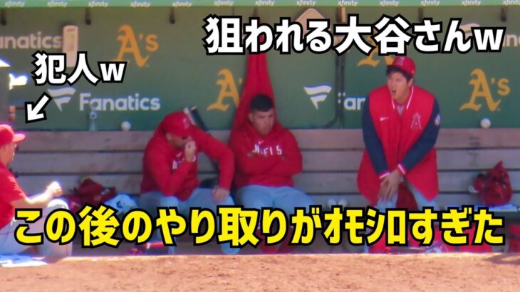 狙われる大谷さんw ダグアウトでのやりとりがオモシロすぎたw Angels エンゼルス Shohei Ohtani 大谷翔平 現地映像