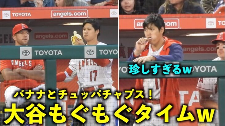 これは珍しい！大谷翔平 ベンチでバナナとチュッパチャプスを食べるw【現地映像】エンゼルスvsブルージェイズ第1戦 4/8