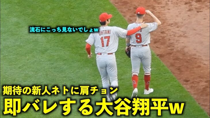 大谷翔平の肩チョンに全く引っかからない期待の新人ネトw【現地映像】エンゼルスvsヤンキース第2戦4/20