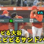 おもしろ連鎖！虫にビビる大谷翔平、それを見てビビるサンドバルw【現地映像】エンゼルスvsアスレチックス第１戦4/25