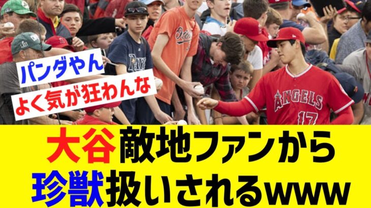 大谷翔平さん、敵地なのに男性ファン全員が大興奮で押しかけ珍獣扱いされるwwww【なんJ なんG野球反応】【2ch 5ch】