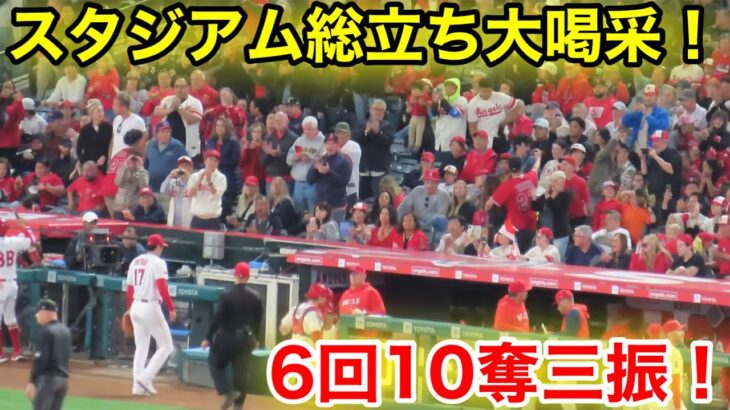 大谷降板でスタジアム総立ち！大谷が10奪三振大喝采の最終回！　【現地映像】