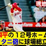 【現地映像まとめ】大谷翔平の第12号ホームランに球場が揺れるほどの歓声！ 今日もトラウタニのアベック弾！【エンゼルスvsレッドソックス】