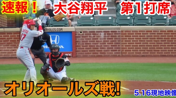 速報！オリオールズ戦！大谷翔平　第1打席【5.16現地映像】エンゼルス1-0オリオールズ3番DH大谷翔平  1回表1死ランナーなし