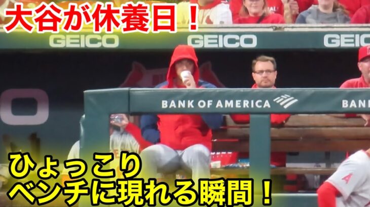 大谷が今季2度目の休養日！ちゃっかりベンチに現れる瞬間！【現地映像】】