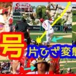 【⚾大谷翔平 片ひざ超変態８号２ラン本塁打！】なぜこれが入る？異次元パワーの衝撃でスタジアムが揺れる現地映像まとめ（2023年5月11日 エンゼルス 4-5 アストロズ）