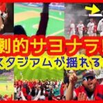 【⚾エンゼルス劇的逆転サヨナラでスタジアムが揺れるｗ現地映像まとめ】大谷翔平ノーヒットもサヨナラに繋がる貴重な進塁打！５連勝でゲーム差なし２位（2023年5月6日 エンゼルス 5-4 レンジャーズ）