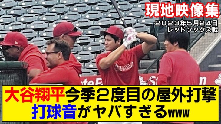 【現地映像まとめ】大谷翔平が今季2度目の屋外打撃練習！打撃音がヤバい！2日連続で吉田正尚との談笑も【エンゼルスvsレッドソックス】