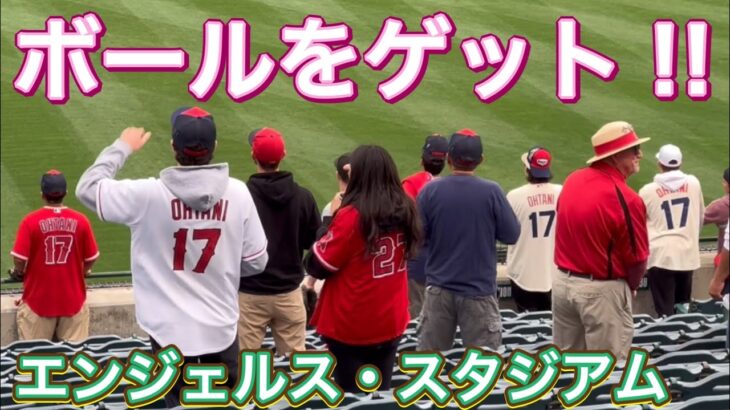 【ボールをゲット‼︎】エンジェル・スタジアム【3番DH・大谷翔平選手】対ミネソタ・ツインズ第1戦@エンジェル・スタジアム5/19/2023 #大谷翔平  #ohtani  #ファンサービス