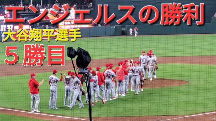 大谷翔平選手は投打の活躍でエンジェルスの勝利に貢献‐5勝目&9号HR⚾️エンジェルスは連敗ストップ