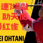 大谷連7場敲安！助天使橫掃紅雀！Ohtani hits in 7 consecutive games! Helps Angels sweep Cardinals!