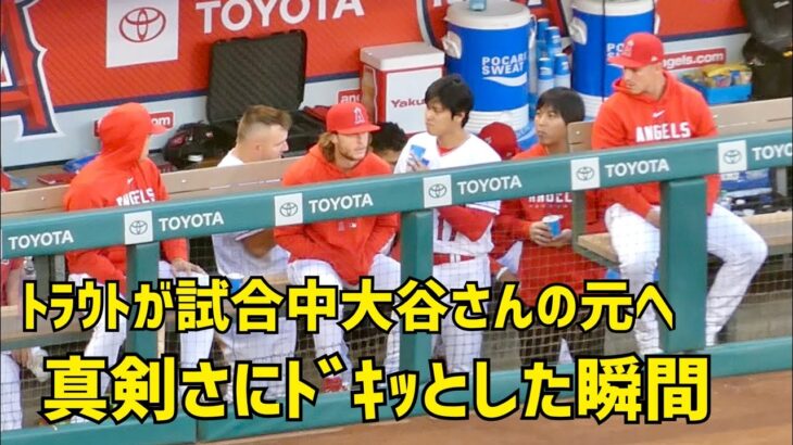 トラウトが大谷さんの元へ 真剣さにドキッとした瞬間  エンゼルス Angels  大谷翔平 Shohei Ohtani 現地映像