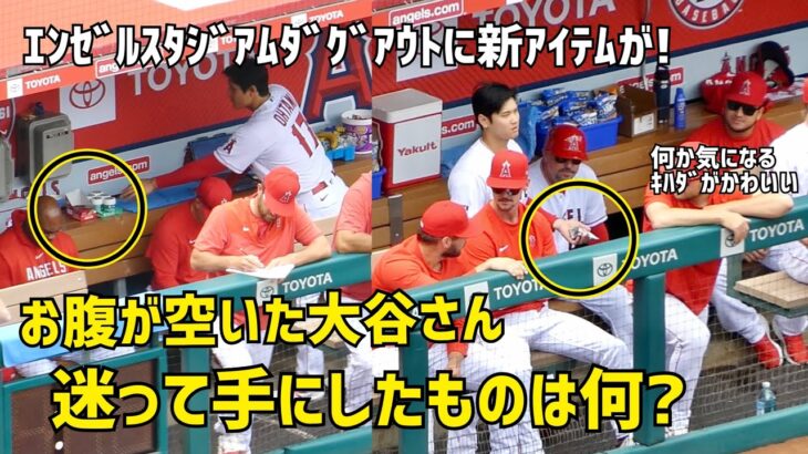 ダグアウトに新アイテム お腹を空かせた大谷さんが食べたものは何？  エンゼルス Angels  大谷翔平 Shohei Ohtani 現地映像