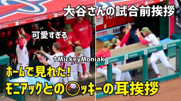 大谷選手かわいい試合前挨拶  ホームで見れた！モニアックと大谷さん◯ッキーの耳挨拶  エンゼルス Angels  大谷翔平 Shohei Ohtani 現地映像