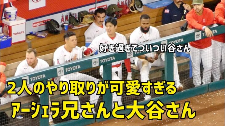 アーシェラ兄さんと大谷さんのやり取りが可愛すぎる  エンゼルス Angels  大谷翔平 Shohei Ohtani 現地映像