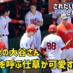 降板後の大谷さん モニアックを呼ぶ仕草が可愛すぎた件  エンゼルス Angels  大谷翔平 Shohei Ohtani 現地映像