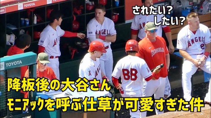 降板後の大谷さん モニアックを呼ぶ仕草が可愛すぎた件  エンゼルス Angels  大谷翔平 Shohei Ohtani 現地映像