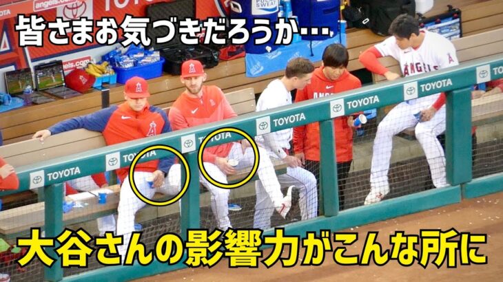 大谷選手の良い影響力がこんな所にも  自然にしている姿になほっこり  エンゼルス Angels  大谷翔平 Shohei Ohtani 現地映像