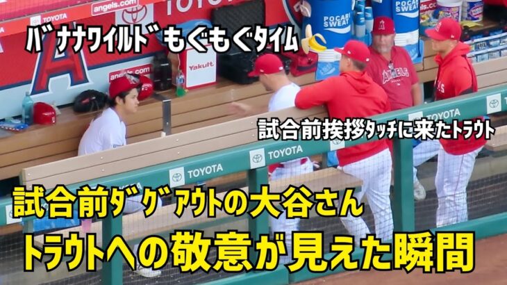 試合前の大谷選手 トラウト選手への敬意が見えた瞬間  エンゼルス Angels  大谷翔平 Shohei Ohtani 現地映像