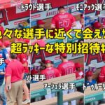 色々な選手に会えサインまで！ 試合前特別招待 超ラッキーなキッズたち  エンゼルス Angels  大谷翔平 Shohei Ohtani 現地映像