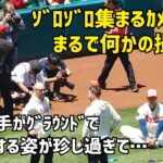 まるで何かの撮影会 大谷選手のストレッチ姿を見つけ一気に集まるカメラマンたち エンゼルス Angels  大谷翔平 Shohei Ohtani 現地映像