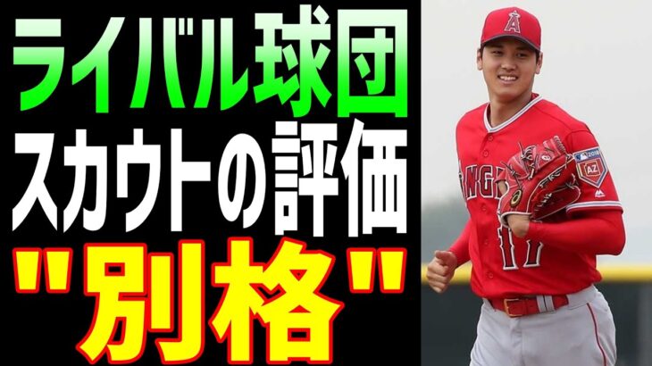 【海外の反応】大谷翔平をライバル球団のスカウトが評価した結果がヤバい!!【JAPANの魂】