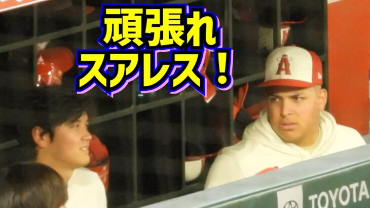 頑張れスアレス‼️大谷選手と仲良し皆んな大好きスアレスを応援するぞ【現地映像】JoséSuárez ShoheiOhtani Angels