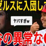 【海外の反応】レンフロー「大谷とチームメイトになって実感したよ…異常な○○に」ファン衝撃の本音を暴露！【MLB:メジャー】