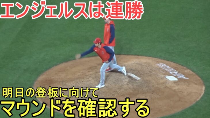 エンジェルスの勝利～大谷翔平選手は完全休養⁉～【大谷翔平選手】～対ブカージナルス・シリーズ初戦～Shohei Ohtani vs Cardinals 2023