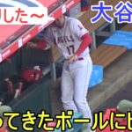 転がってきたボールにビックリする！【大谷翔平選手】～対ツインズ・シリーズ初戦～Shohei Ohtani vs Twins 2023