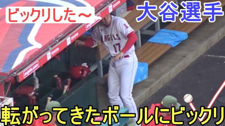 転がってきたボールにビックリする！【大谷翔平選手】～対ツインズ・シリーズ初戦～Shohei Ohtani vs Twins 2023