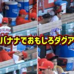 大谷翔平今日もバナナでダグアウトが面白い🤣＆トラウトリスペクトが半端ない！【現地映像】ShoheiOhtani Angels