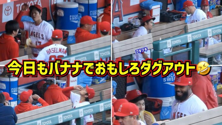 大谷翔平今日もバナナでダグアウトが面白い🤣＆トラウトリスペクトが半端ない！【現地映像】ShoheiOhtani Angels