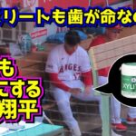 目撃‼️歯を大切にする大谷翔平 ガムはキシリトールだね【現地映像】ShoheiOhtani Angels