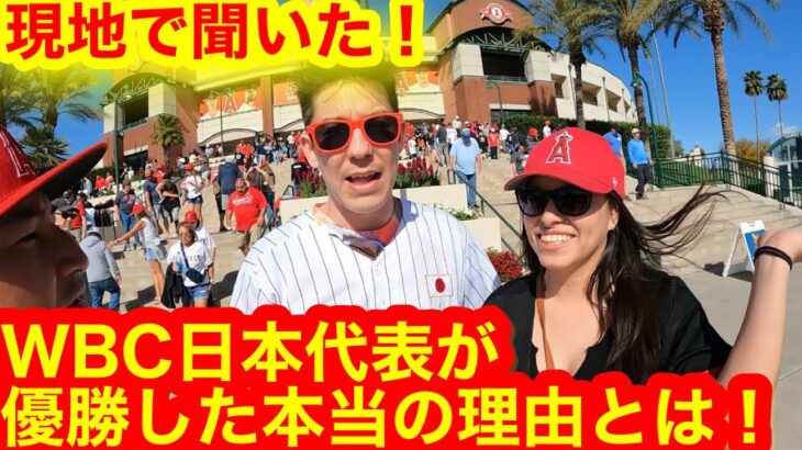 WBC日本代表がアメリカに勝てた本当の理由とは？現地で聞いた、チームジャパン真相とは！【現地取材】